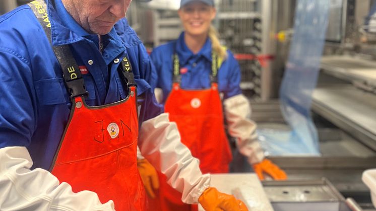 Showcase of fileting of Norwegian haddock by members of the Østerfjord crew.jpg