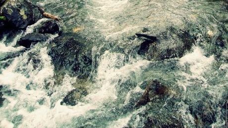 Kvoten för vildlax i Bottenviken nästan uppfiskad - nu inför HaV fiskeförbud
