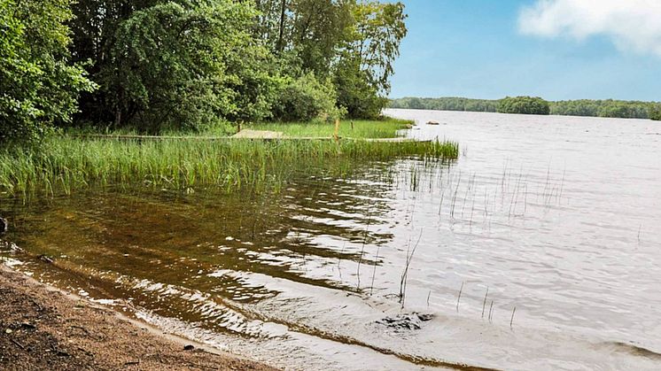 Tydingen, en sjö i nordöstra Skåne som vuxit igen kraftigt de senaste 90 åren.