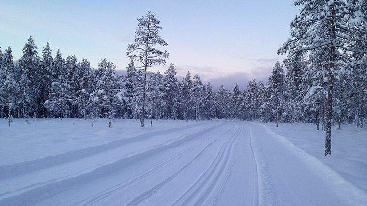 Vasaloppsspåret 15 januari 2016