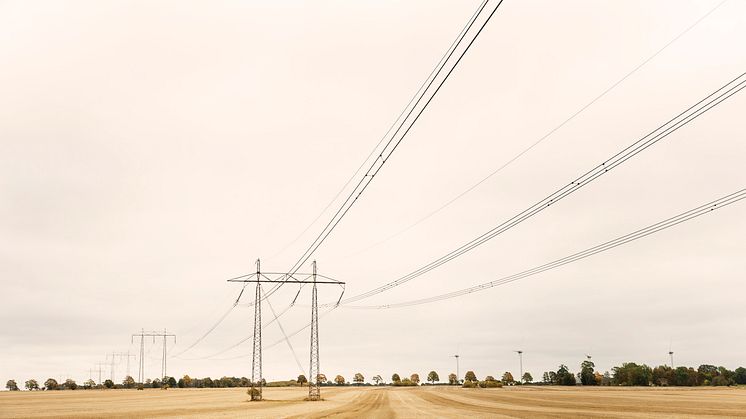 För boende i Torsås och Hallabro har elförsörjningen blivit betydligt bättre det senaste årtiondet. Det visar ny statistik som rapporterats till Energimarknadsinspektionen.﻿