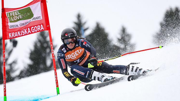 Hector_KranjskaGora_GS_060124