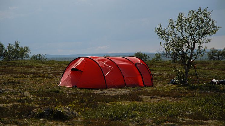 Naturturism i Fulufjällets vackra natur. Foto: Stefan Hamréus 