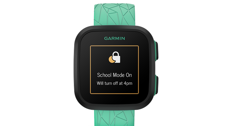 Garmin Bounce 