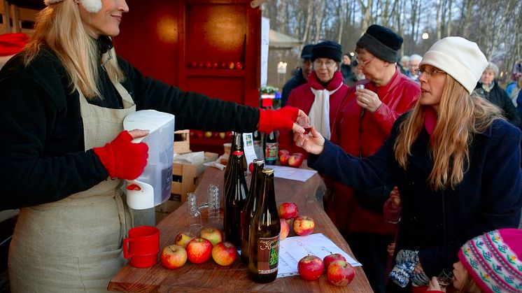 Skånska julmarknader och julfirande i Skåne 2010