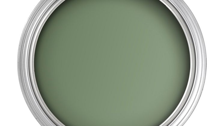 Alcro Oregano burk