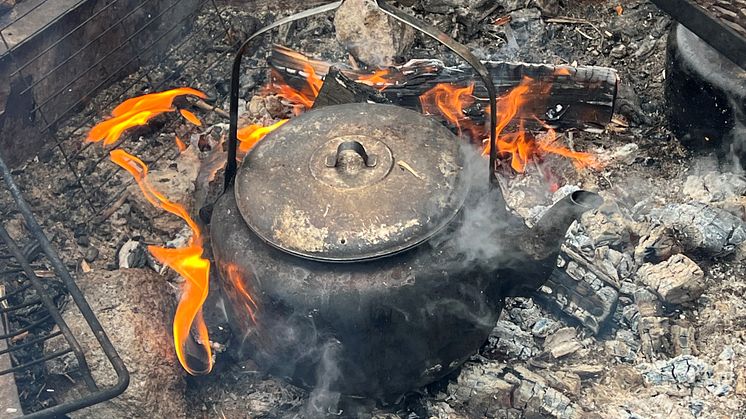 kaffe-i-skogen-mikael-andersson