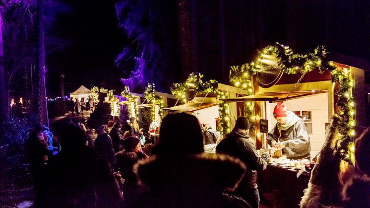 Pressinbjudan: Sagojul på Kolmården
