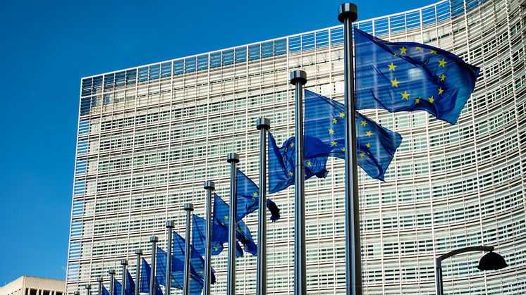 EU flags outside the Berlaymont building, Brussels