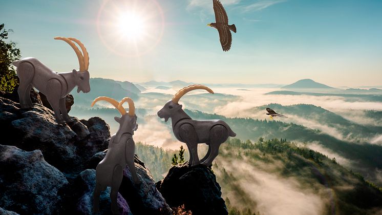 WILTOPIA_Steinboecke_Steinadler