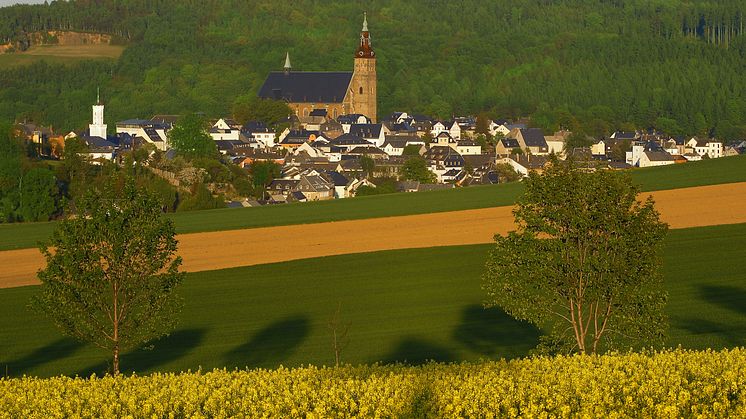 Bergstadt Schneeberg mit Blick auf Kirche St. Wolfgang