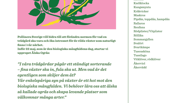 Pollinatörer som älskar ogräs