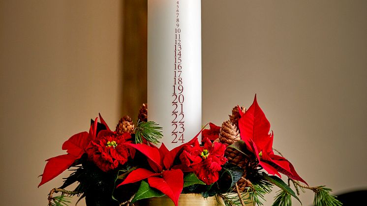 Adventskransar och kalendrar med julstjärnor