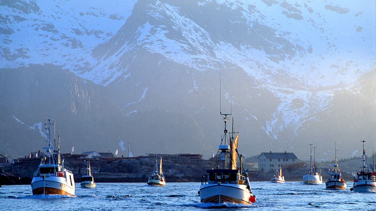 Thank cod! - Norwegian cod is sustainable