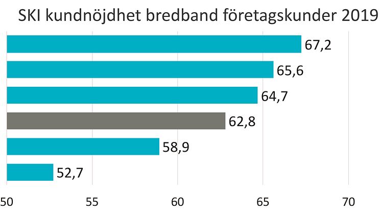SKI bredband B2B 2019
