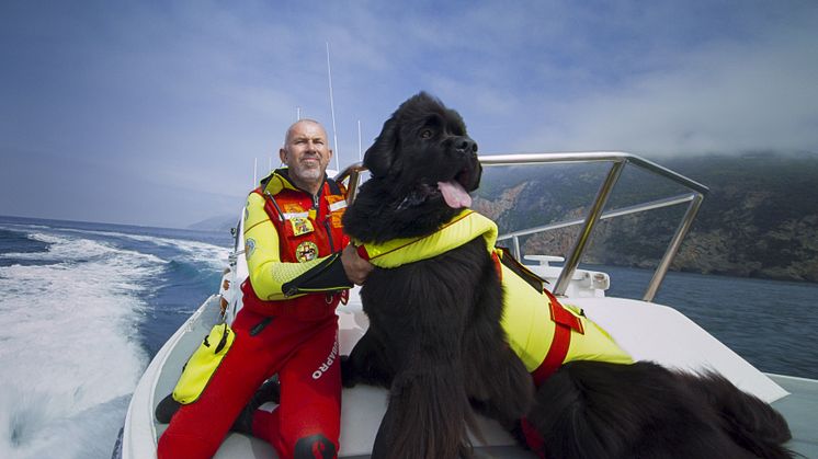 Superpower Dogs - Reef