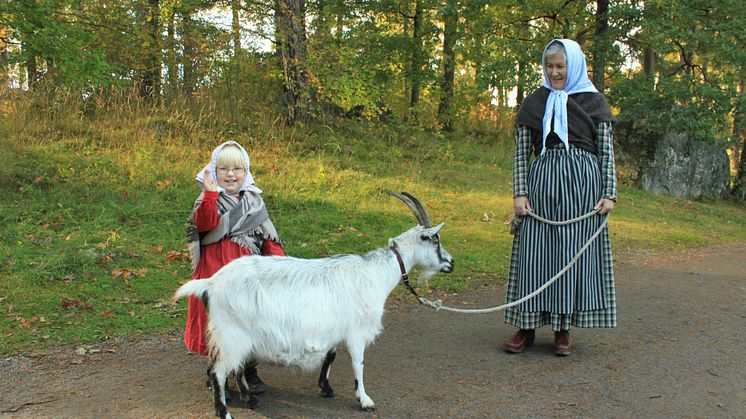 Välkommen på höstfest på Vallby friluftsmuseum 1 september 