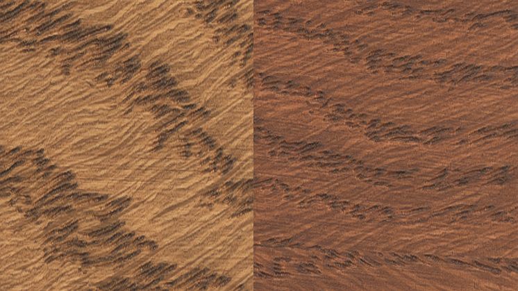 Osmo 3543 Cognac, transparent och intensiv på ek