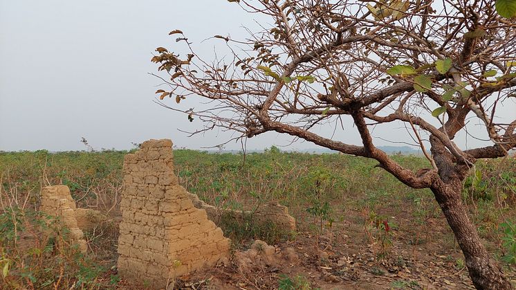 Ruins of a mud brick structure near the town of Lusanga along the Kwilu River. Photo: Peter Coutros, Ghent University