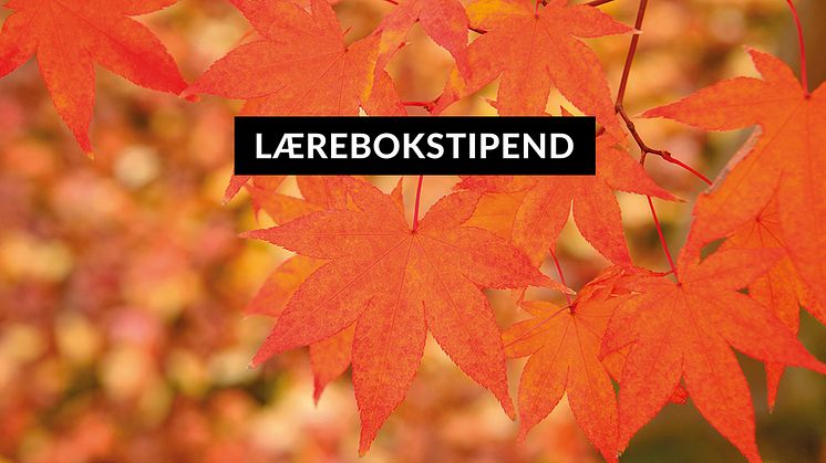 Newsletter_Lærebokstipend-autumn--1080x600.jpg