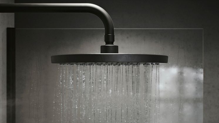 Habo_Magnolia black_ceiling shower set_2
