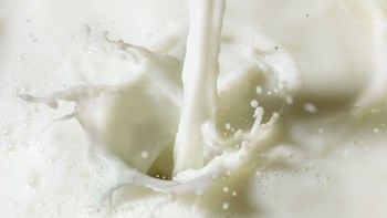 Arla Foods amba increases its milk price for September