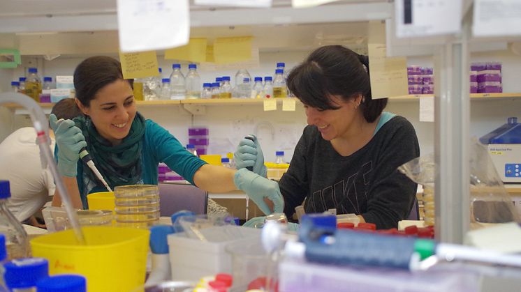 Sara Hernandez and Laura Alvarez, two of the researchers behind the study. Image: Umeå University.