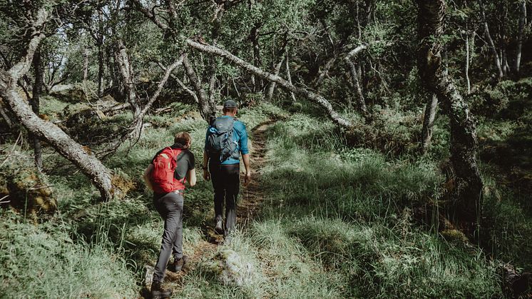 Hiking