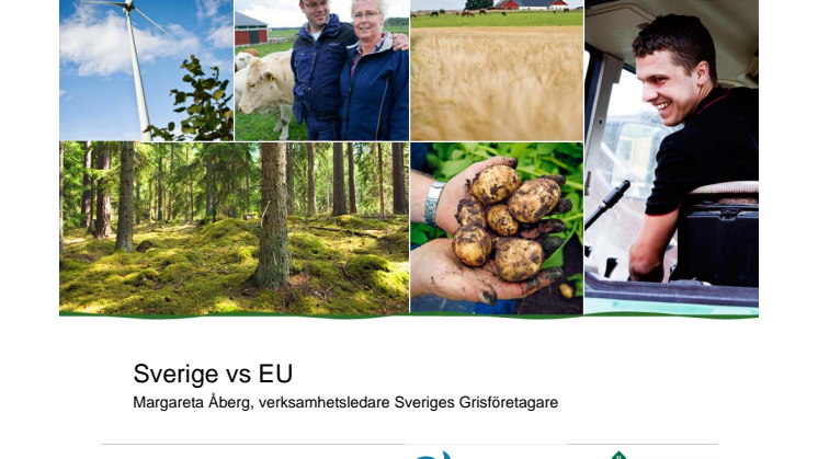Sverige vs EU gällande grisuppfödning