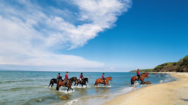 Reiten am Strand auf der Insel Rügen_1 Horse riding at the beach on the island Rügen_1
