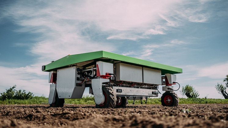 Ekobot är ett robotsystem som kan bidra till en ökning av skörden jämfört med konventionell odling där kemiska bekämpningsmedel används för att bekämpa ogräs. Foto: Johan Nyström.