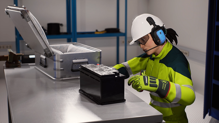 Woman_looking_at_battery_TRA_03961 (1).png