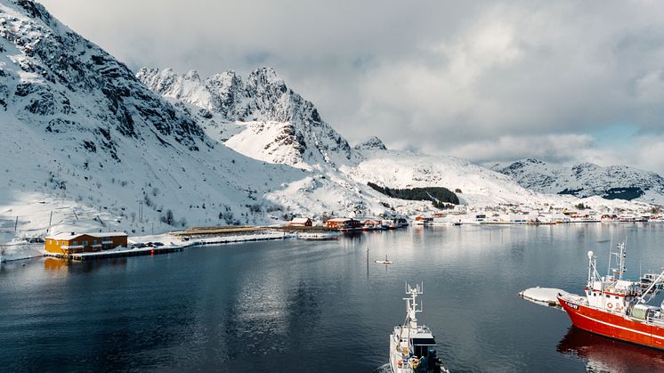 Lofoten fishing
