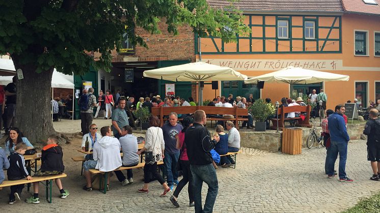Saale-Weinmeile 2015