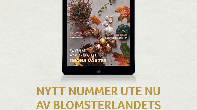 Nytt nummer av Blomsterlandets Digitala Magasin.