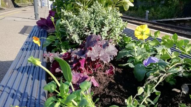 Harlington station garden event