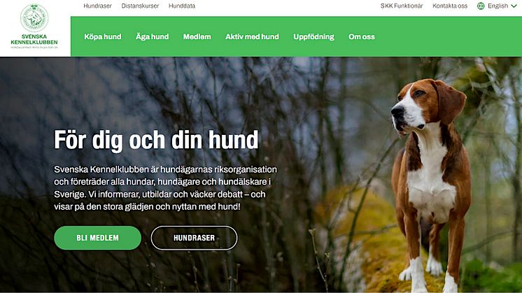 Svenska Kennelklubbens webbsida skk.se får nytt utseende