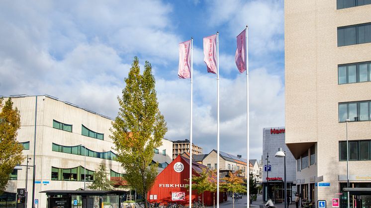 Selma Lagerlöfs Torg