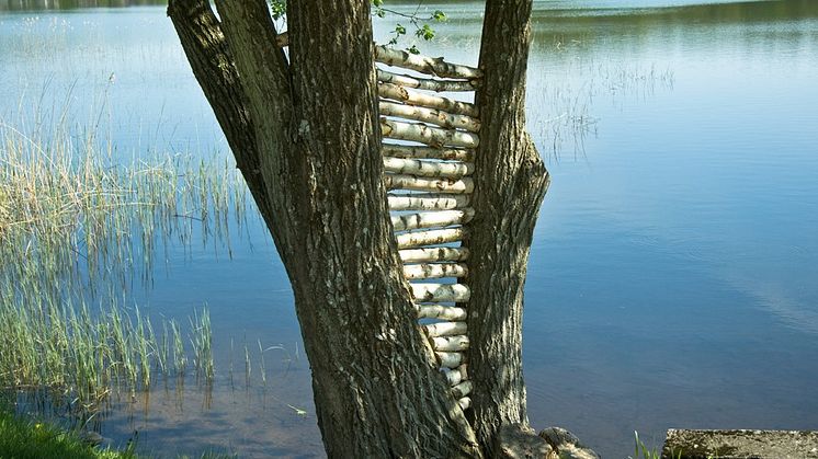 "Land Art" av Alexandra Hedberg