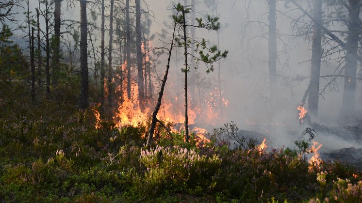 När skogsbränder riskerar att bli vanligare behöver samhället ha bättre planer för att möta klimatförändringar.