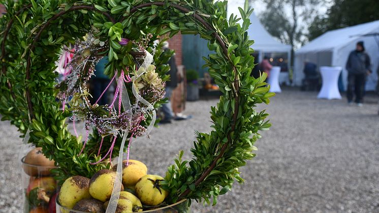 Herbstzeit © Tourismus-Service Fehmarn