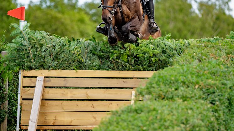 Falsterbo Hunting 2022