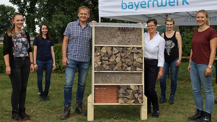 Beim Aktionstag zum Bau von Bienenhotels setzen sich Trainees und Führungskräfte des Bayernwerks für Arten- und Umweltschutz ein.