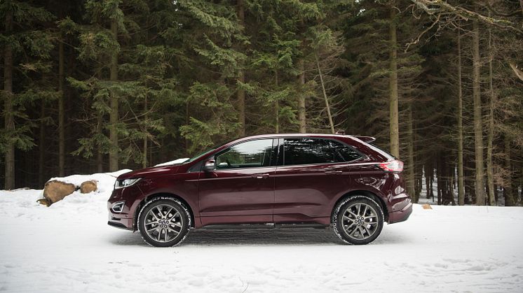 Ford Edge (11)