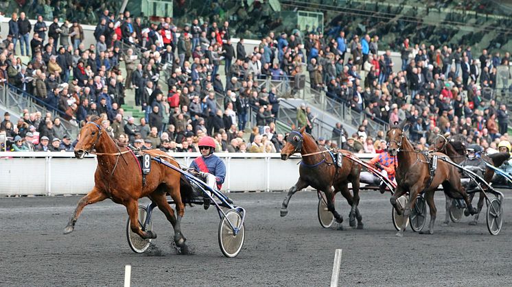 Aubrion du Gers vinner Prix du Luxembourg på Vincennes. Foto: Maria Holmén/TR Bild