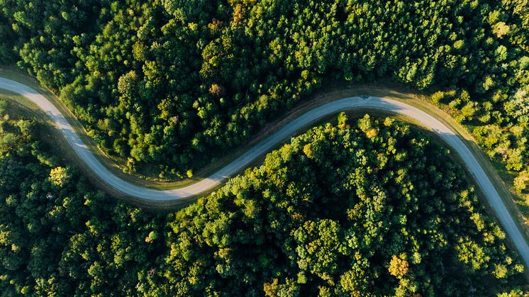 Drivkraft Norges medlemmer ønsker å bidra til at vi når klimaforpliktelsene, blant annet gjennom økt bruk av fornybart drivstoff. Illustrasjonsfoto: Pexels.