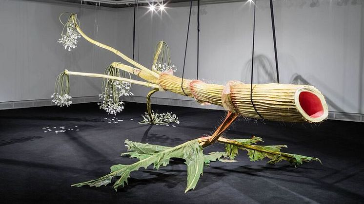 Ingela Ihrman, installation view of The Giant Hogweed, 2015, Future Flourish, Tensta Konsthall, Stockholm