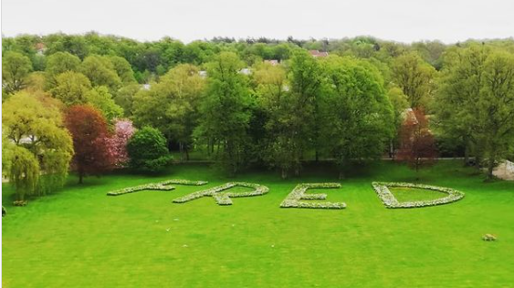 Mitt i en tid av oroligheter, sorg och utmaningar har de vita pingstliljorna slagit ut i Ronneby Brunnspark. Från utsiktspunkten Östra utkiken på berget kan du läsa ”FRED” långt där nere på parkens största gräsyta.