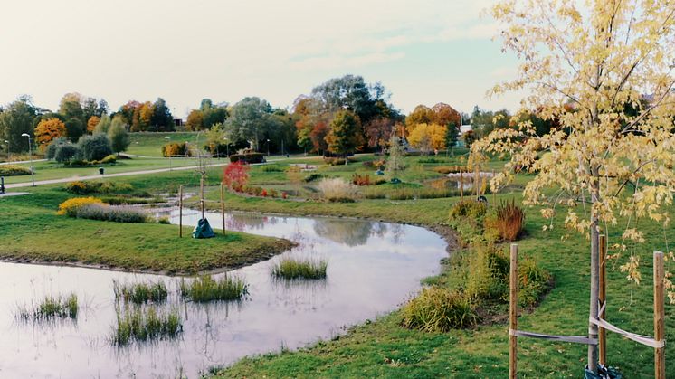 På Dagvattnets dag 24 september uppmärksammas smarta och snygga dagvattenlösningar som förhindrar översvämningar. På bilden Ängsholmsdammen i Gribbylund, Täby. Foto: Robert Selin, Täby Kommun