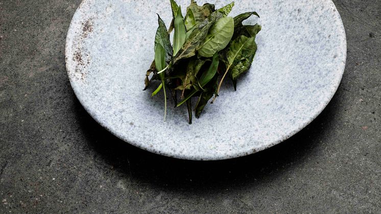 Relæ Trout and dried ramson leaves